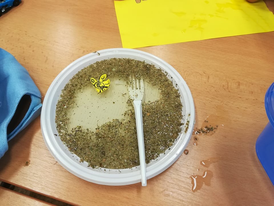 Příměstské tábory