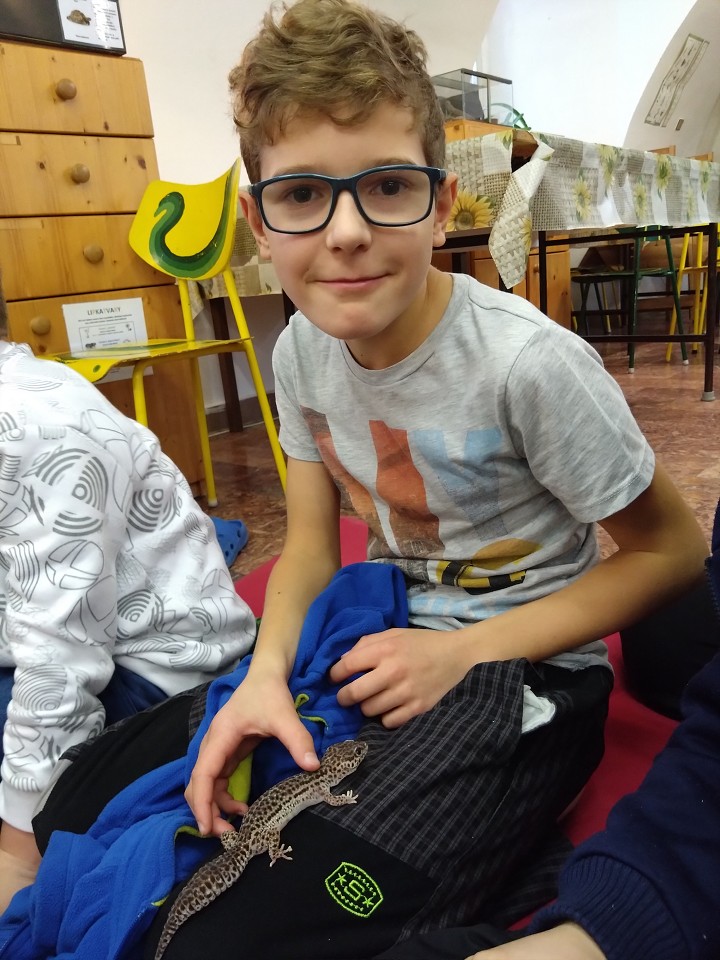 Doba ledová